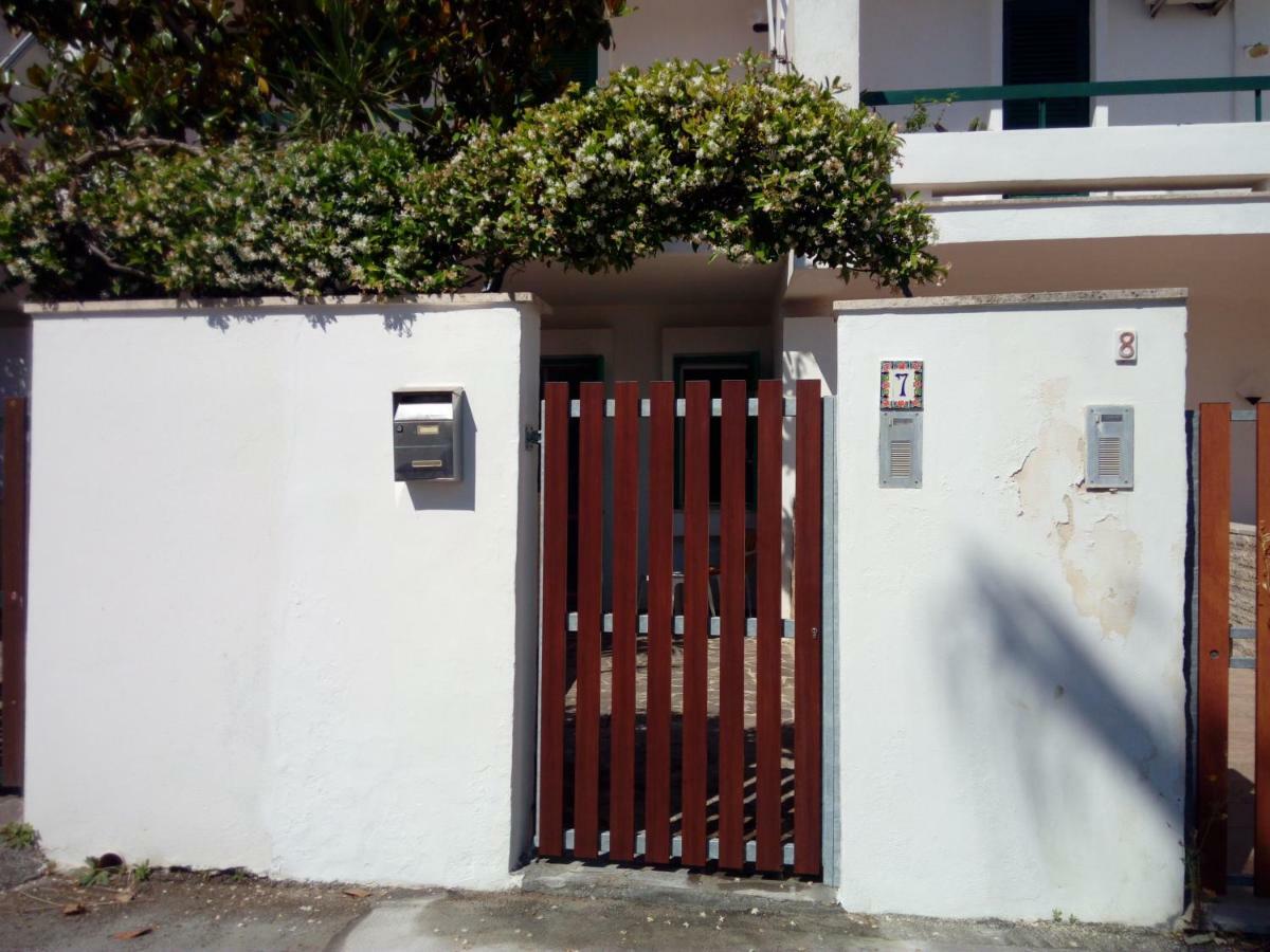 Dei Garofani
